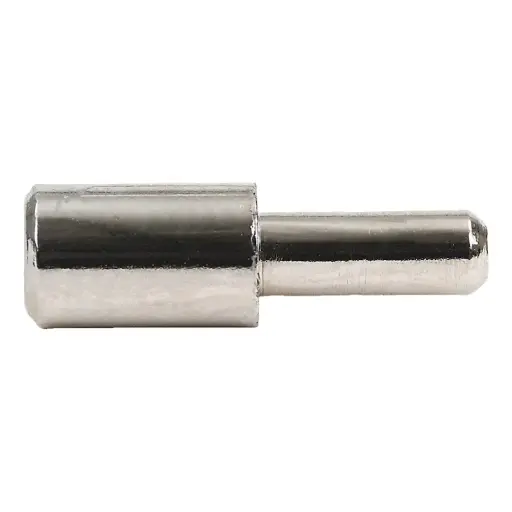 Shelf support 